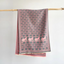Pashmina Shawl