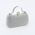 Evening Bag
