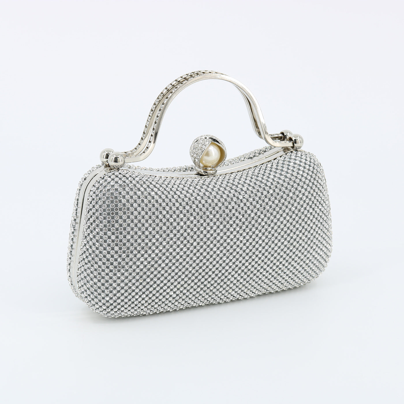 Evening Bag