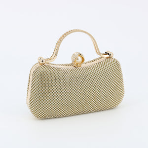 Evening Bag