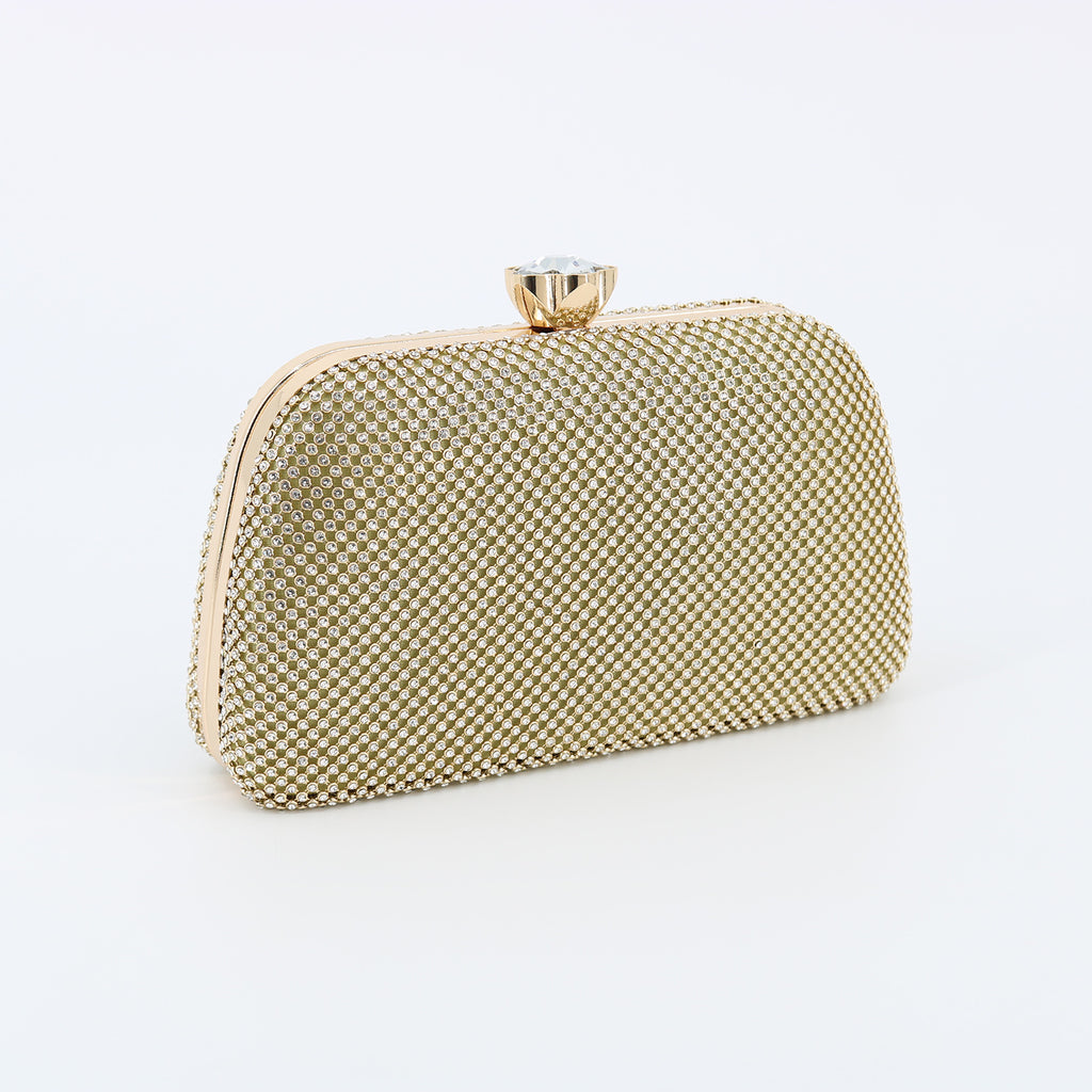 Evening Bag