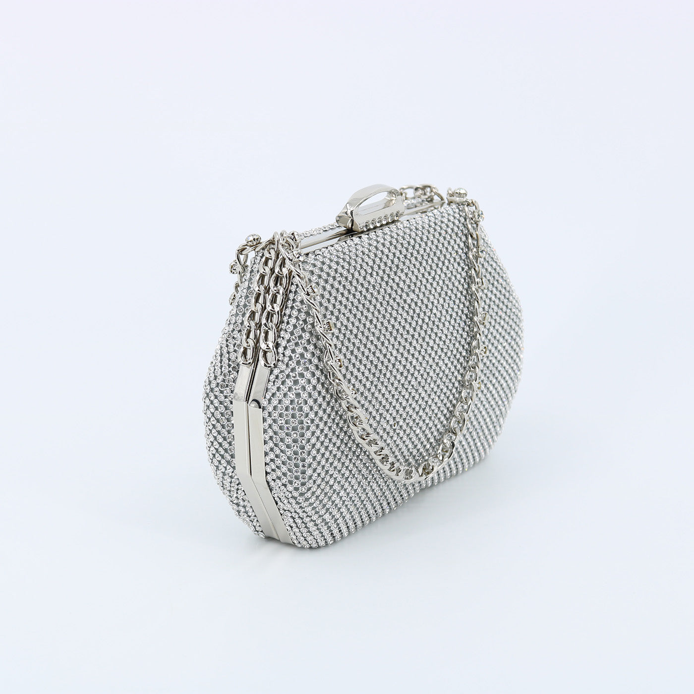 Evening Bag