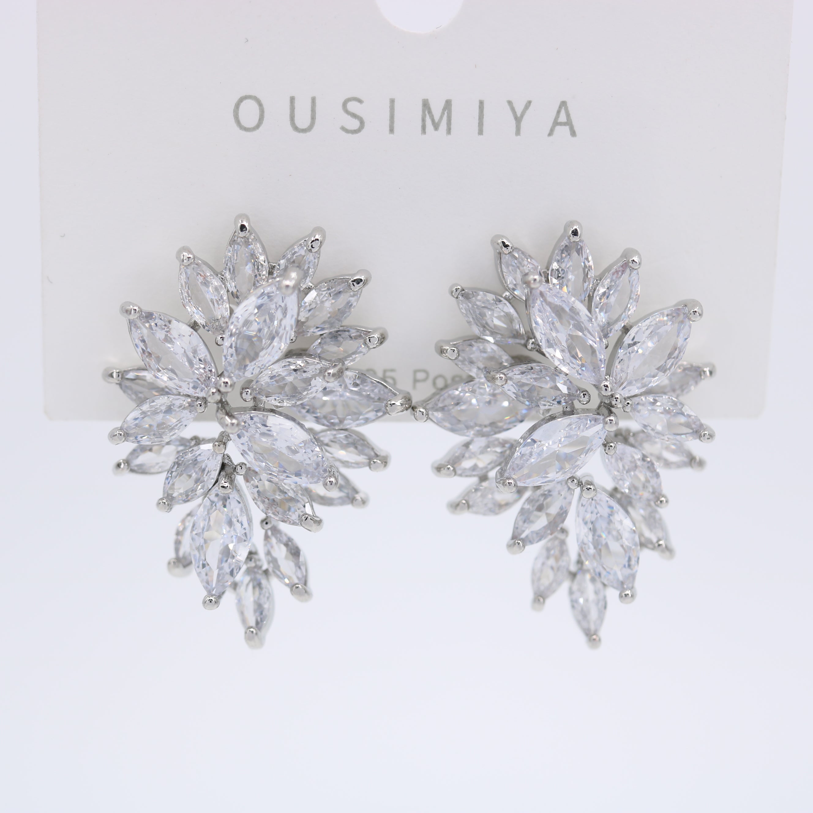 Earring Main image