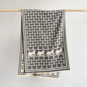Pashmina Shawl